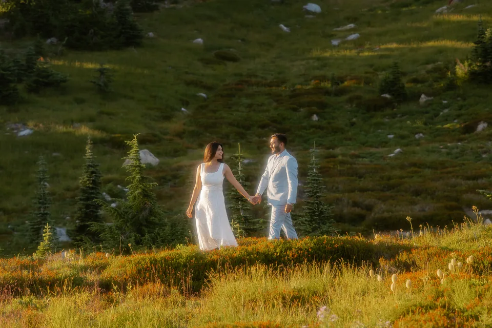 Vaibhav and Tonakshi holding hands in a sunlit meadow